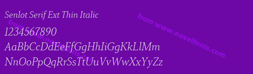 Senlot Serif Ext Thin ItalicPreview Senlot Serif Ext Thin ItalicPreview