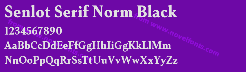 Senlot Serif Norm BlackPreview