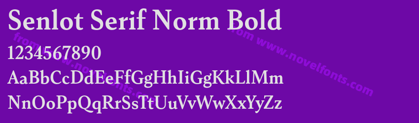 Senlot Serif Norm BoldPreview Senlot Serif Norm BoldPreview