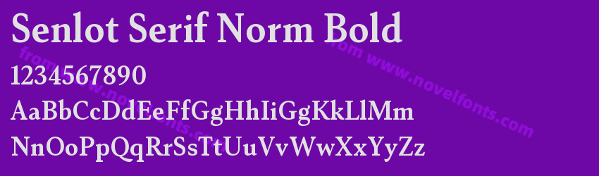 Senlot Serif Norm BoldPreview Senlot Serif Norm BoldPreview