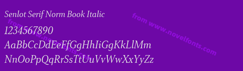 Senlot Serif Norm Book ItalicPreview Senlot Serif Norm Book ItalicPreview
