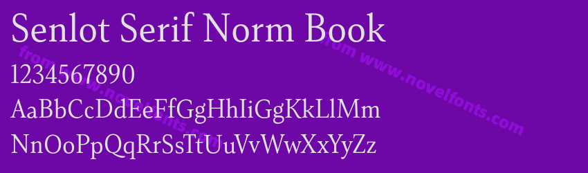Senlot Serif Norm BookPreview Senlot Serif Norm BookPreview
