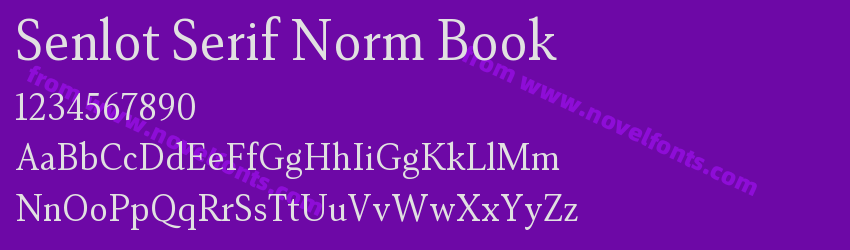 Senlot Serif Norm BookPreview Senlot Serif Norm BookPreview