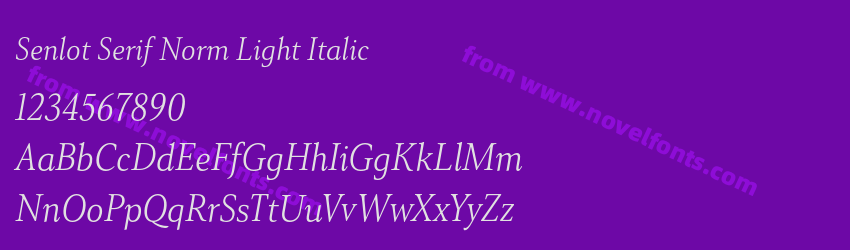 Senlot Serif Norm Light ItalicPreview Senlot Serif Norm Light ItalicPreview