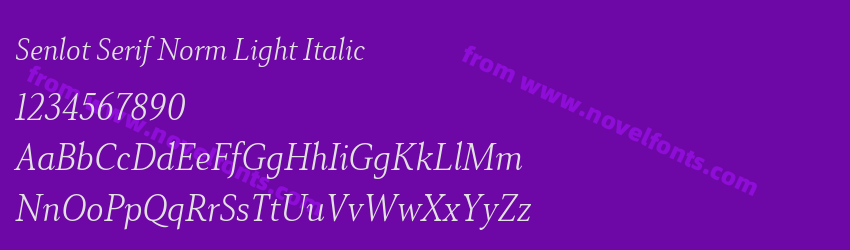 Senlot Serif Norm Light ItalicPreview Senlot Serif Norm Light ItalicPreview