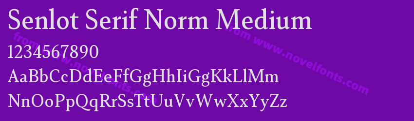 Senlot Serif Norm MediumPreview Senlot Serif Norm MediumPreview