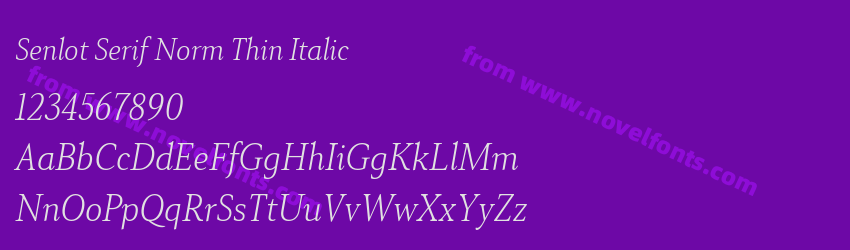 Senlot Serif Norm Thin ItalicPreview Senlot Serif Norm Thin ItalicPreview