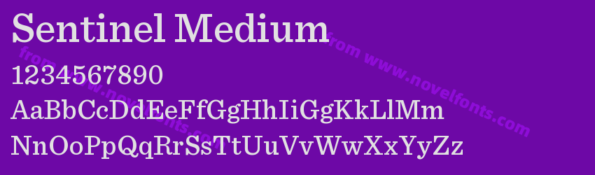Sentinel MediumPreview