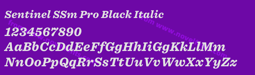 Sentinel SSm Pro Black ItalicPreview Sentinel SSm Pro Black ItalicPreview
