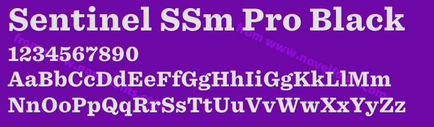 Sentinel SSm Pro BlackPreview Sentinel SSm Pro BlackPreview