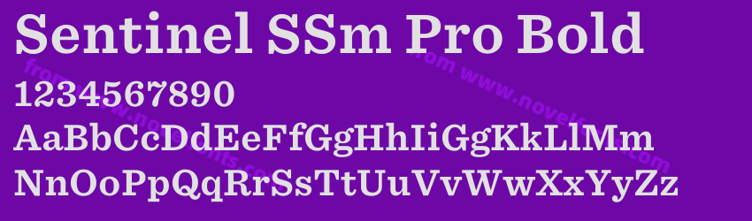Sentinel SSm Pro BoldPreview Sentinel SSm Pro BoldPreview