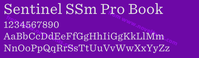 Sentinel SSm Pro BookPreview Sentinel SSm Pro BookPreview