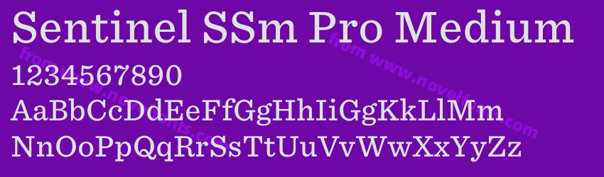 Sentinel SSm Pro MediumPreview Sentinel SSm Pro MediumPreview