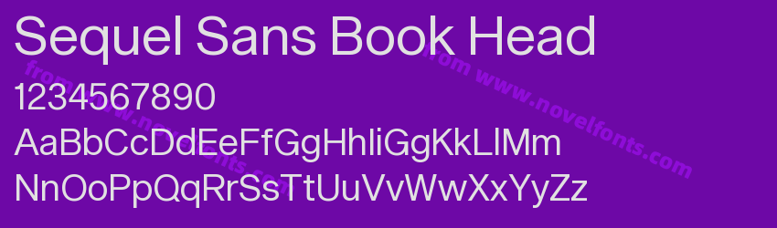 Sequel Sans Book HeadPreview Sequel Sans Book HeadPreview