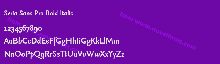 Seria Sans Pro Bold ItalicPreview Seria Sans Pro Bold ItalicPreview