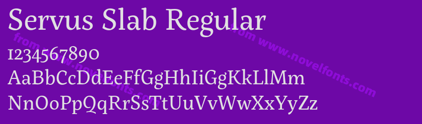 Servus Slab RegularPreview Servus Slab RegularPreview