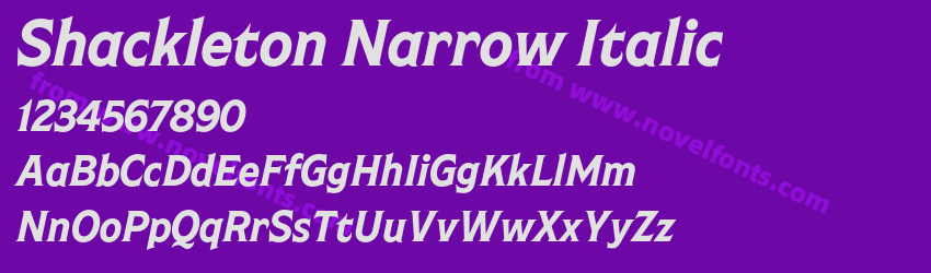 Shackleton Narrow ItalicPreview Shackleton Narrow ItalicPreview