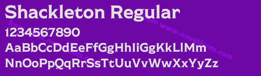 Shackleton RegularPreview Shackleton RegularPreview