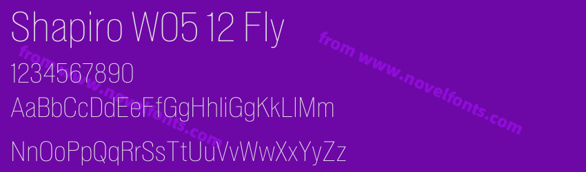 Shapiro W05 12 FlyPreview Shapiro W05 12 FlyPreview