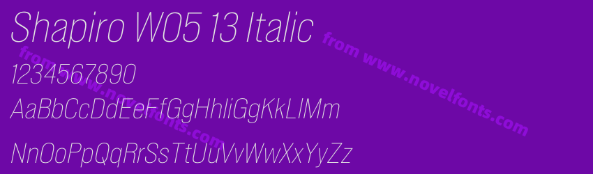 Shapiro W05 13 ItalicPreview Shapiro W05 13 ItalicPreview