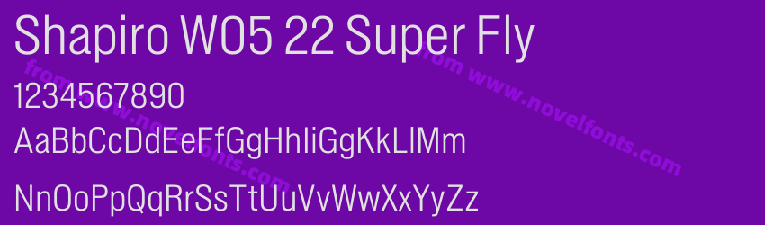 Shapiro W05 22 Super FlyPreview Shapiro W05 22 Super FlyPreview