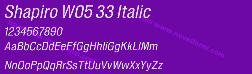 Shapiro W05 33 ItalicPreview Shapiro W05 33 ItalicPreview