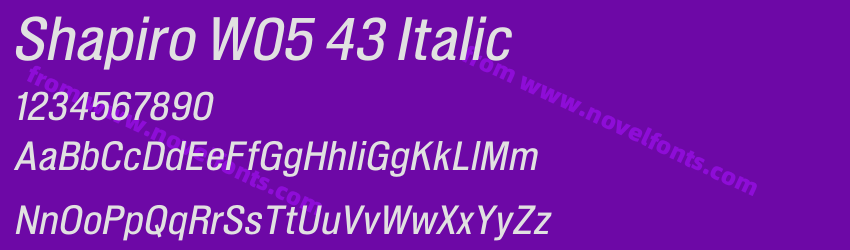 Shapiro W05 43 ItalicPreview Shapiro W05 43 ItalicPreview