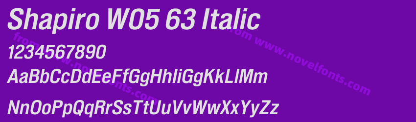 Shapiro W05 63 ItalicPreview Shapiro W05 63 ItalicPreview