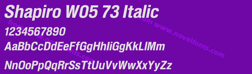 Shapiro W05 73 ItalicPreview Shapiro W05 73 ItalicPreview