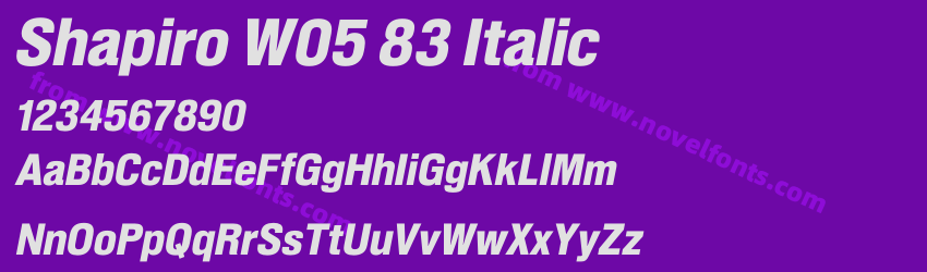 Shapiro W05 83 ItalicPreview Shapiro W05 83 ItalicPreview