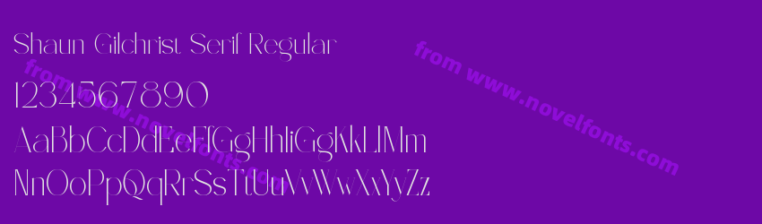 Shaun Gilchrist Serif RegularPreview Shaun Gilchrist Serif RegularPreview