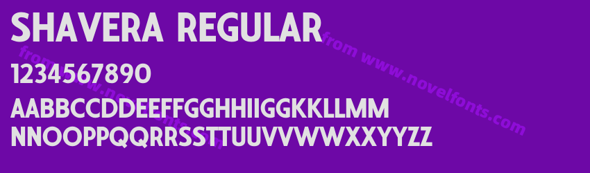 Shavera RegularPreview Shavera RegularPreview