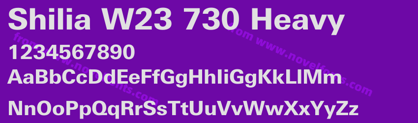 Shilia W23 730 HeavyPreview