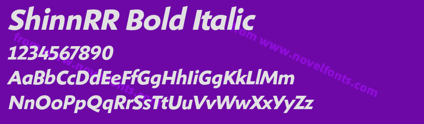 ShinnRR Bold ItalicPreview ShinnRR Bold ItalicPreview