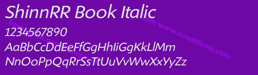 ShinnRR Book ItalicPreview ShinnRR Book ItalicPreview