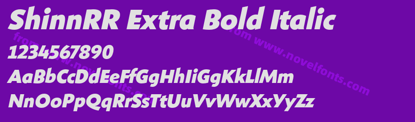 ShinnRR Extra Bold ItalicPreview ShinnRR Extra Bold ItalicPreview