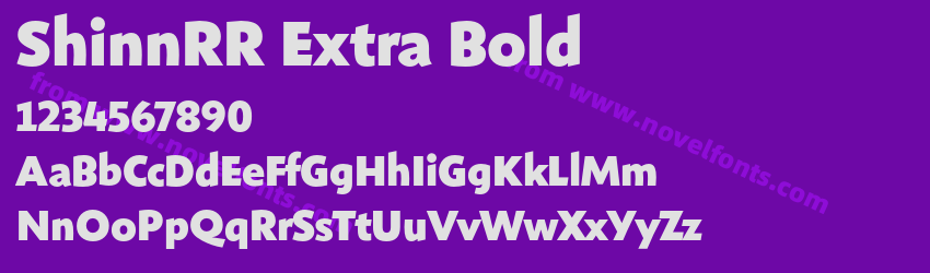 ShinnRR Extra BoldPreview ShinnRR Extra BoldPreview