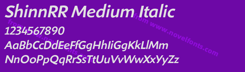 ShinnRR Medium ItalicPreview ShinnRR Medium ItalicPreview
