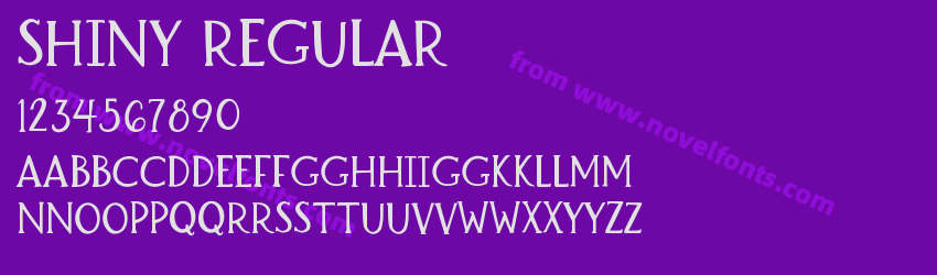 Shiny RegularPreview Shiny RegularPreview