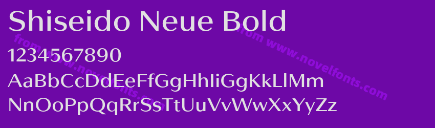 Shiseido Neue BoldPreview Shiseido Neue BoldPreview