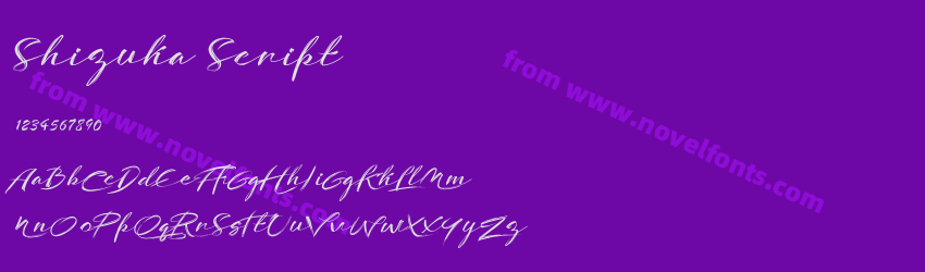 Shizuka ScriptPreview Shizuka ScriptPreview
