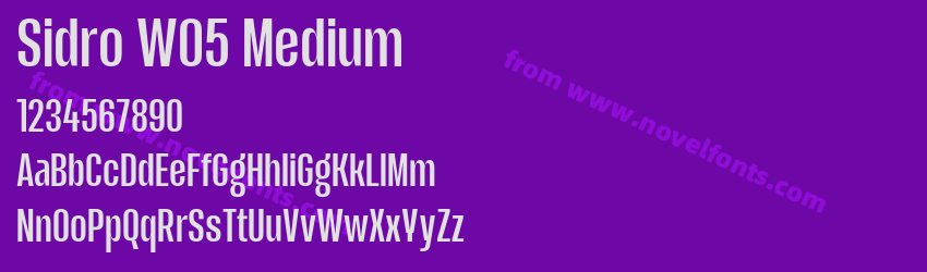 Sidro W05 MediumPreview Sidro W05 MediumPreview