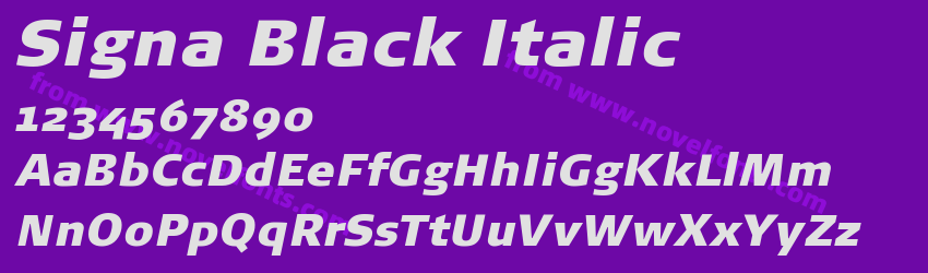 Signa Black ItalicPreview Signa Black ItalicPreview
