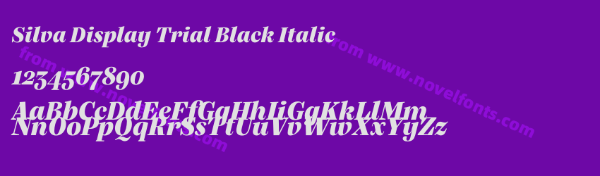 Silva Display Trial Black ItalicPreview