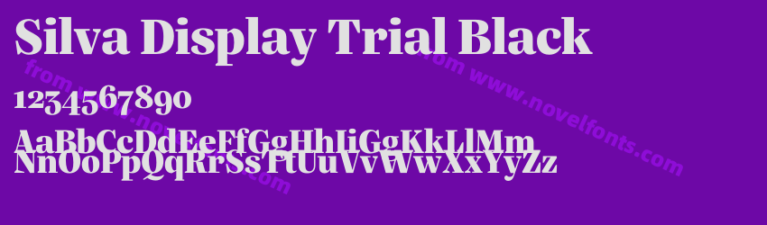 Silva Display Trial BlackPreview Silva Display Trial BlackPreview