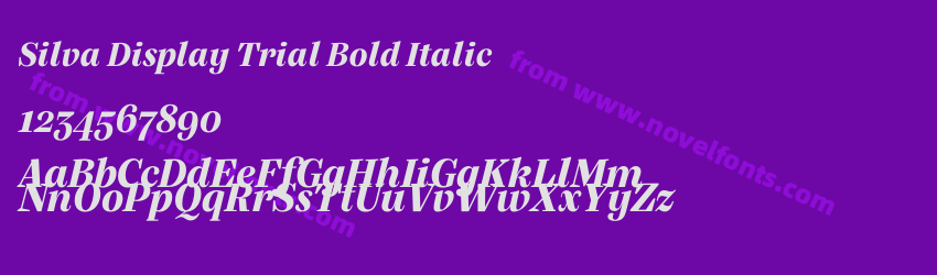 Silva Display Trial Bold ItalicPreview Silva Display Trial Bold ItalicPreview