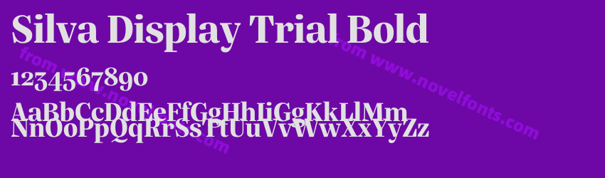 Silva Display Trial BoldPreview Silva Display Trial BoldPreview