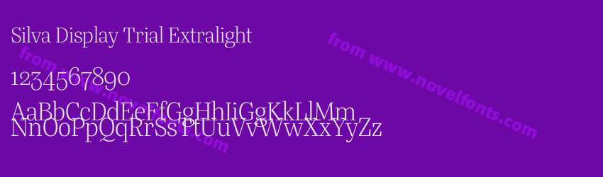 Silva Display Trial ExtralightPreview Silva Display Trial ExtralightPreview