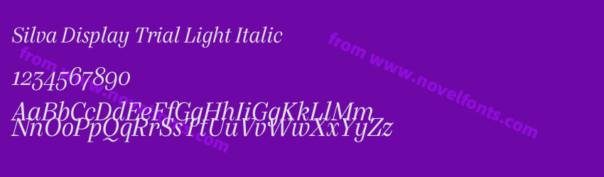Silva Display Trial Light ItalicPreview Silva Display Trial Light ItalicPreview