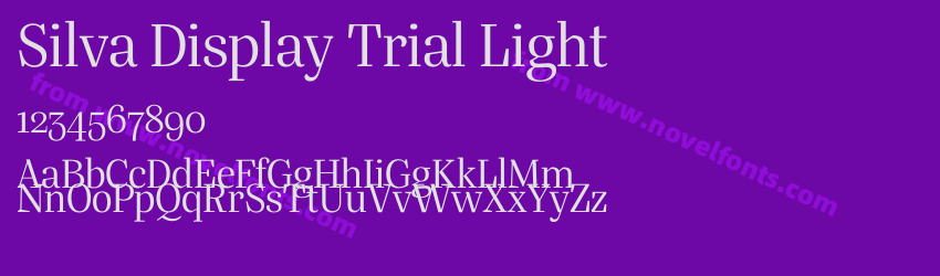 Silva Display Trial LightPreview Silva Display Trial LightPreview